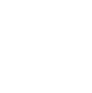 Bristol City Council Logo