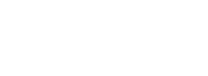 North Somerset Council Logo